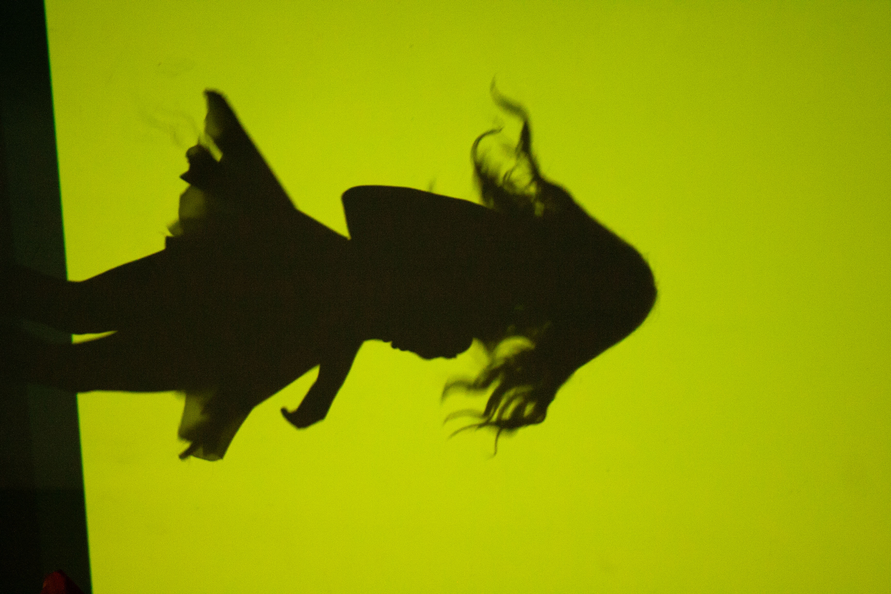 Green Vegas Hope Look 2